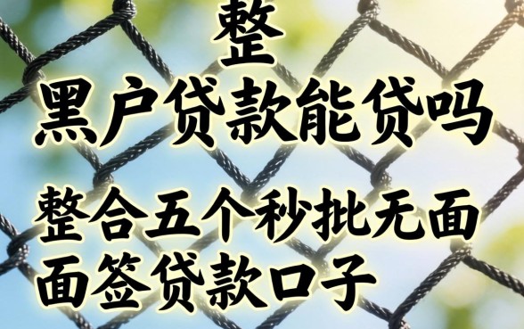 网上的黑户贷款能贷吗，整合五个秒批无面签贷款口子