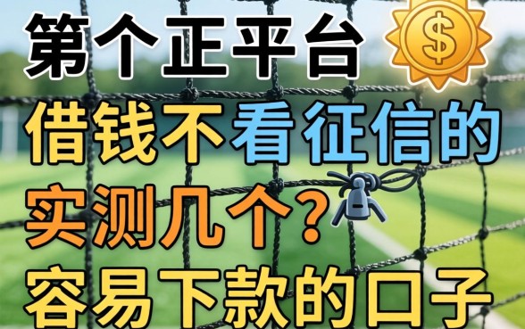 网上哪个平台借钱不看征信的？实测几个容易下款的口子