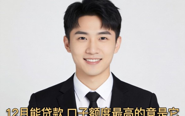 我试遍了全网，发现12月能贷款的口子额度最高的竟是它