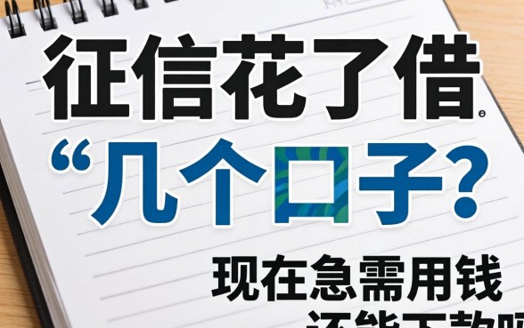 求助!征信花了借了好几个口子,现在急需用钱还能下款吗?