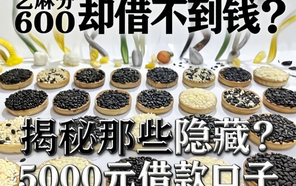 芝麻分600却借不到钱？揭秘那些隐藏的5000元借款口子