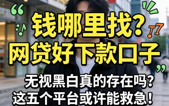急需用钱哪里找？网贷好下款口子 无视黑白真的存在吗？这五个平台或许能救急！