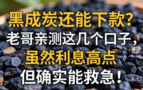 征信黑成炭还能下款？老哥亲测这几个口子，虽然利息高点但确实能救急！