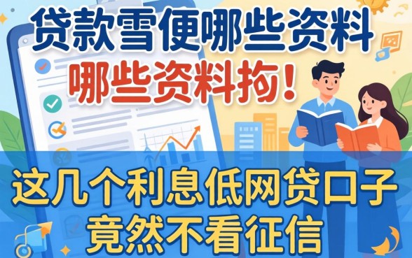我发现了2026年贷款需要哪些资料，这几个利息低的网贷口子竟然不看征信