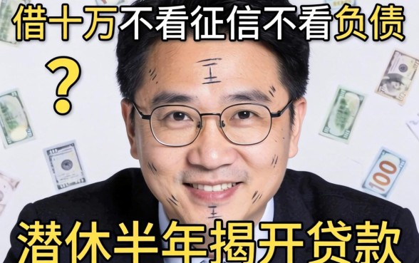 哪里可以借十万不看征信不看负债的贷款?我潜伏半年揭开真相