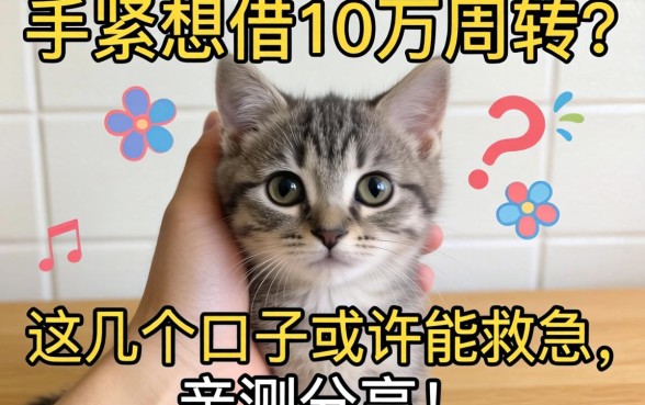 手头紧想借10万周转？这几个口子或许能救急，亲测分享！