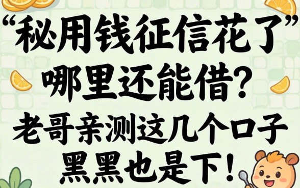急用钱征信花了哪里还能借?老哥亲测这几个口子黑户也能下!