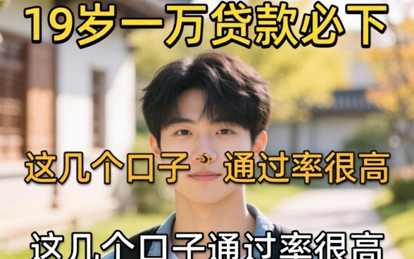 揭秘19岁一万贷款必下，这几个口子通过率很高