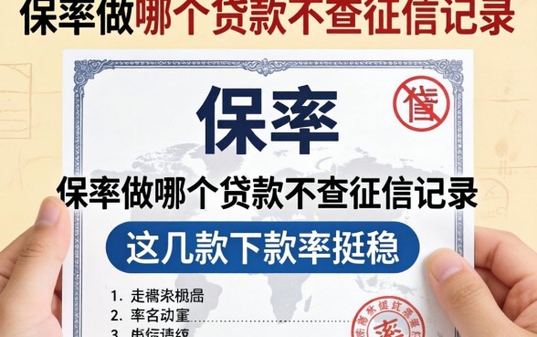 揭秘用保单做哪个贷款不查征信记录，这几款下款率挺稳