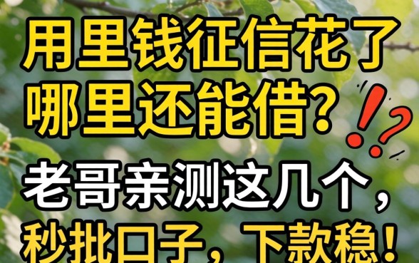 急用钱征信花了哪里还能借？老哥亲测这几个秒批口子，下款稳！