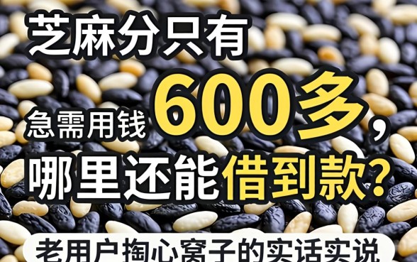 芝麻分只有600多，急需用钱哪里还能借到款？老用户掏心窝子的实话实说