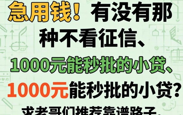 急用钱！有没有那种不看征信、1000元能秒批的小贷？求老哥们推荐靠谱路子！