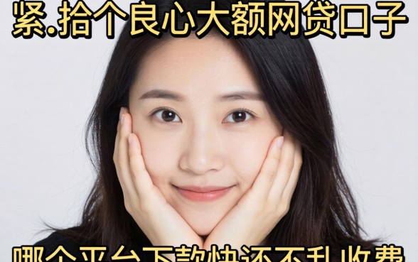 手头紧想找个良心的大额网贷口子，哪个平台下款快还不乱收费？