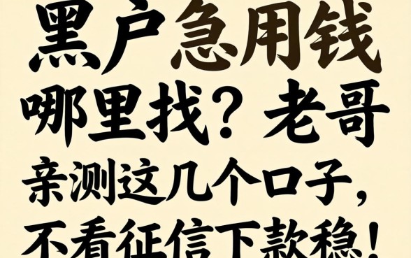 黑户急用钱哪里找？老哥亲测这几个口子，不看征信下款稳！