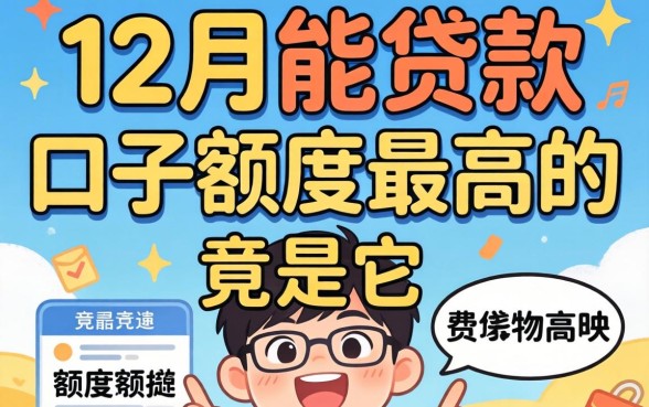 我试遍了全网，发现12月能贷款的口子额度最高的竟是它