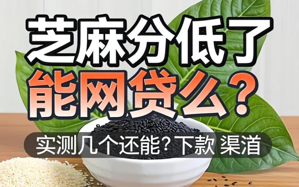 芝麻分低了能网贷么？实测几个还能下款的渠道