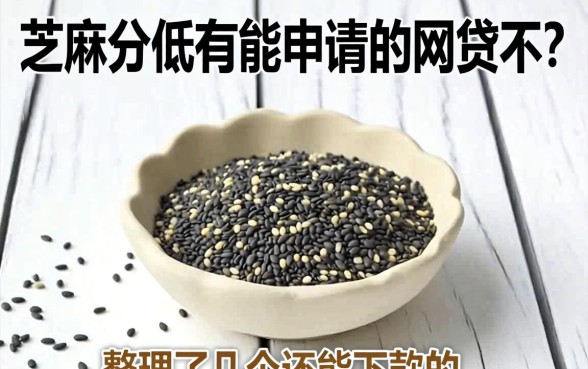 芝麻分低有能申请的网贷不？整理了几个还能下款的