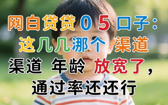 50岁以上的网贷口子：这几个渠道年龄放宽了，通过率还行