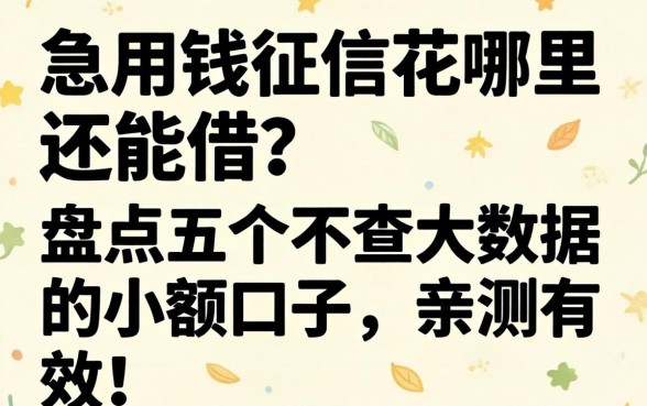 急用钱征信花哪里还能借？盘点五个不查大数据的小额口子，亲测有效！