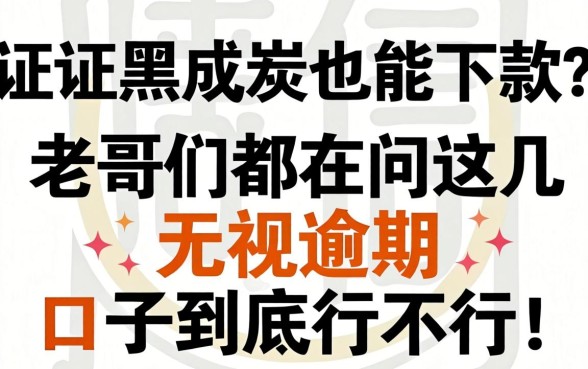 征信黑成炭也能下款？老哥们都在问这几个无视逾期口子到底行不行！