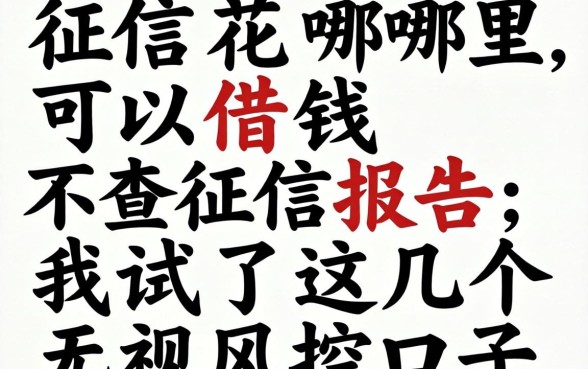 征信花哪里可以借钱不查征信报告，我试了这几个无视风控口子