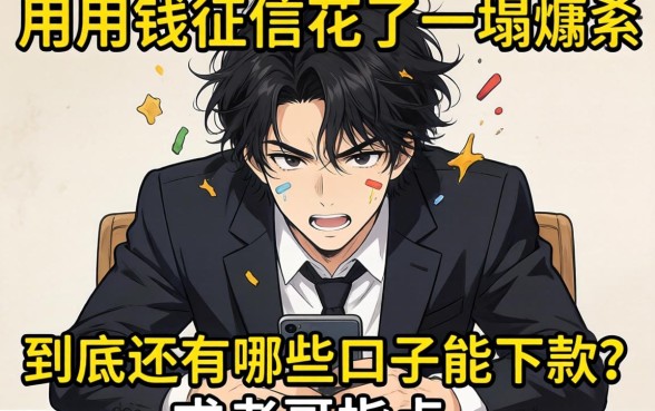 急用钱征信花了一塌糊涂，到底还有哪些口子能下款？求老哥指点！