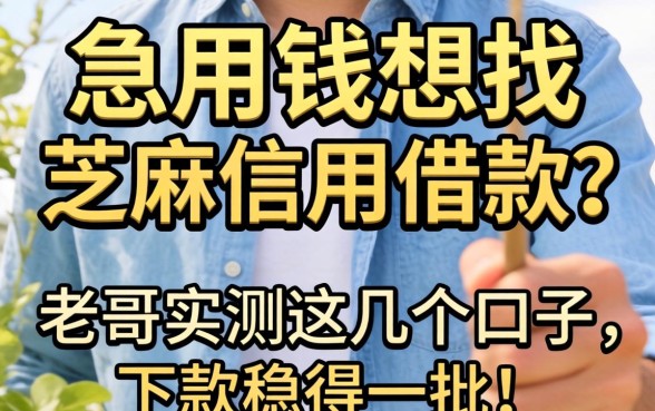 急用钱想找芝麻信用借款？老哥实测这几个口子，下款稳得一批！