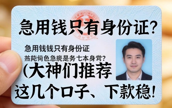 急用钱只有身份证？大神们推荐这几个口子，下款稳！