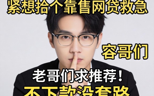 手头紧想找个靠谱网贷救急，老哥们求推荐几个不下款没套路的平台！