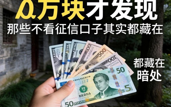 我借了两万块才发现，那些不看征信的口子其实都藏在暗处