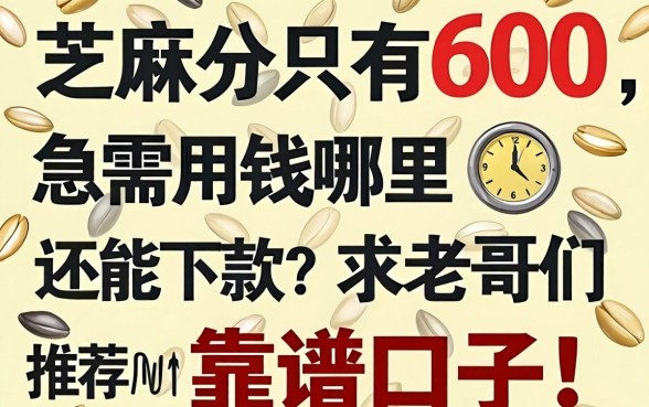 芝麻分只有600，急需用钱哪里还能下款？求老哥们推荐几个靠谱口子！