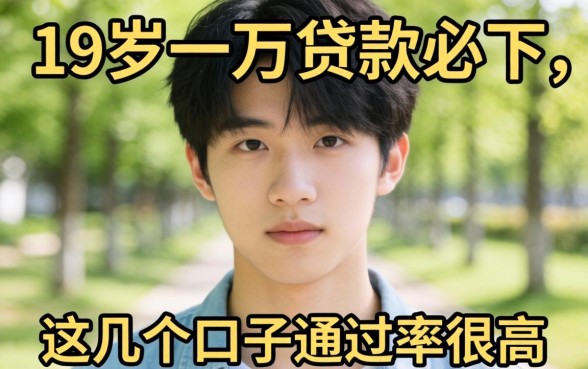 揭秘19岁一万贷款必下，这几个口子通过率很高