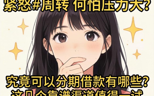 手头紧想周转却怕压力大？究竟可以分期的借款有哪些？这几个靠谱渠道值得一试