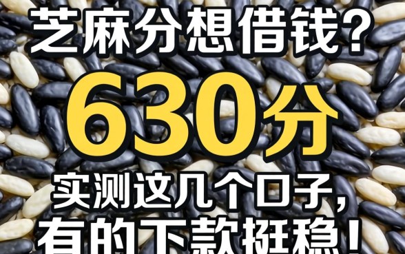 芝麻分630分想借钱？实测这几个口子，有的下款挺稳！