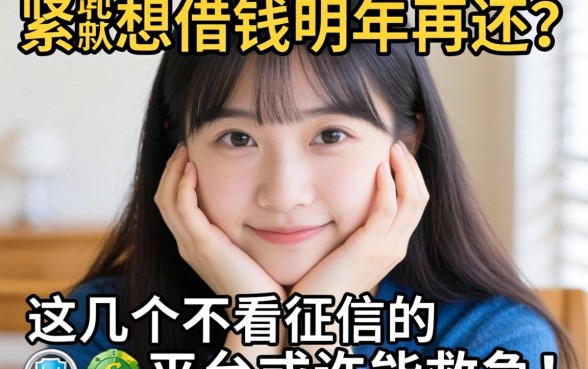 手头紧想借钱明年再还？这几个不看征信的平台或许能救急！