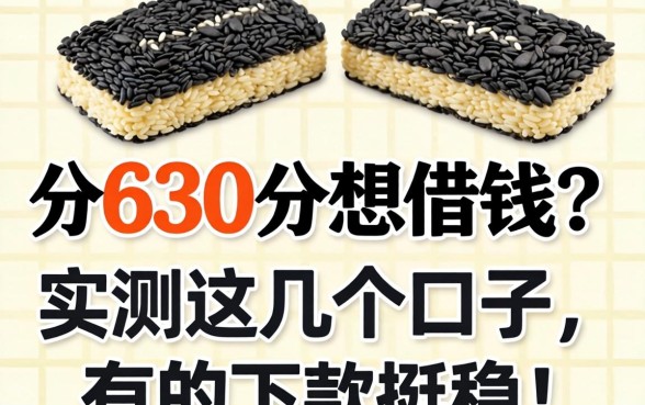 芝麻分630分想借钱？实测这几个口子，有的下款挺稳！