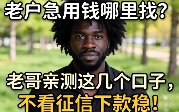黑户急用钱哪里找？老哥亲测这几个口子，不看征信下款稳！