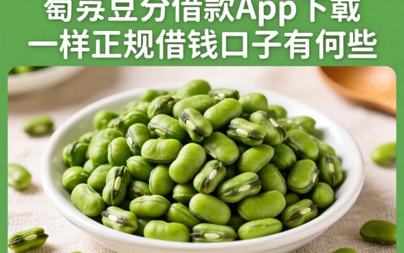 揭秘像芸豆分借款app下载一样正规的借钱口子有哪些