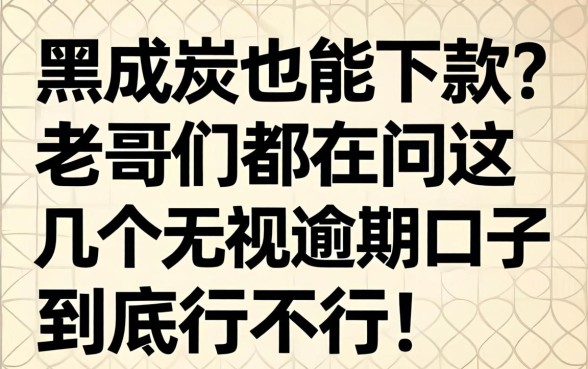 征信黑成炭也能下款？老哥们都在问这几个无视逾期口子到底行不行！