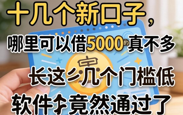 我试了十几个新口子,发现哪里可以借5000的真不多,这几个门槛低软件竟然通过了