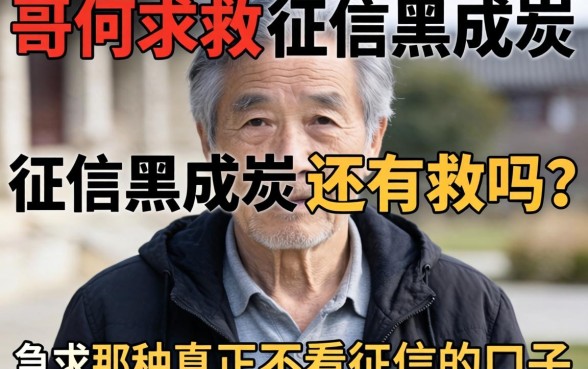 老哥们求救！征信黑成炭还有救吗？急求那种真正不看征信的口子！