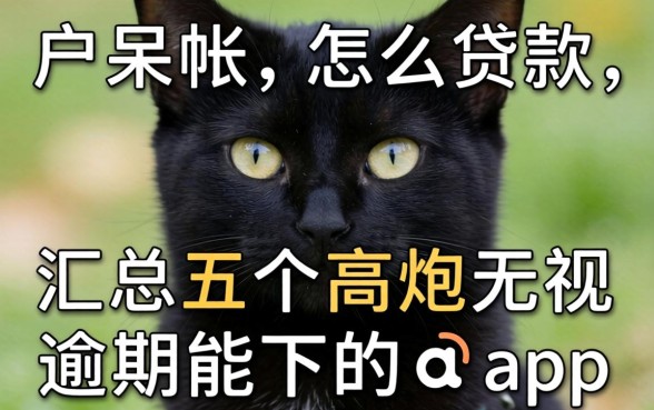 黑户呆帐怎么贷款，汇总五个高炮无视逾期能下的app