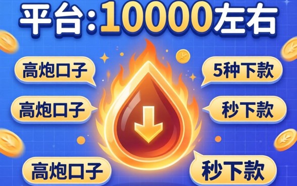 借款平台10000左右,枚举五个高炮口子秒下款