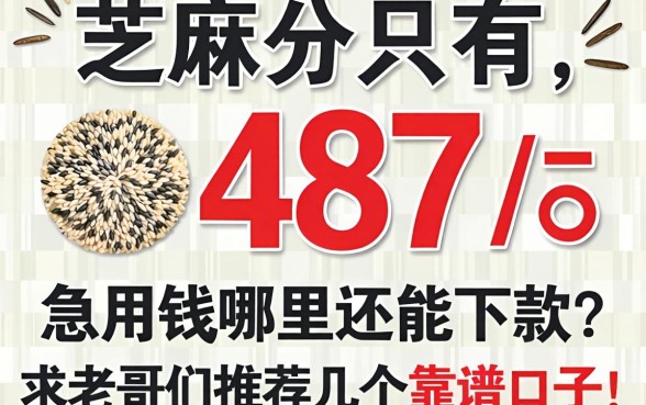 芝麻分只有487，急用钱哪里还能下款？求老哥们推荐几个靠谱口子！