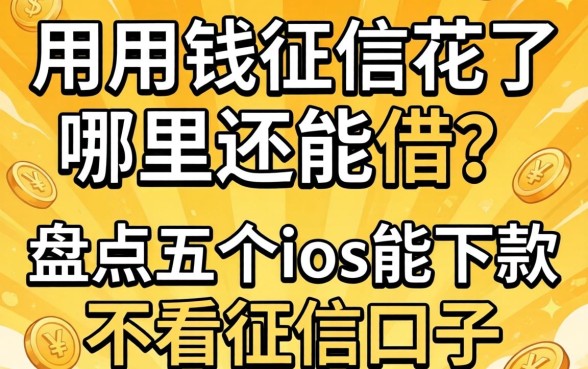 急用钱征信花了哪里还能借？盘点五个ios能下款的不看征信口子