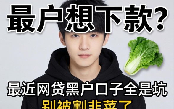 黑户想下款？最近网贷黑户口子全是坑，别被割韭菜了