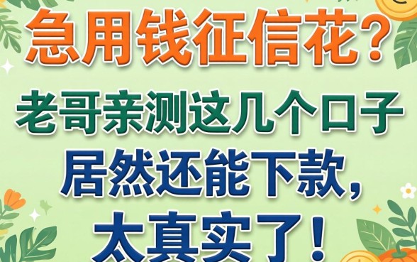 急用钱征信花？老哥亲测这几个口子居然还能下款，太真实了！