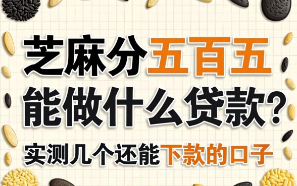 芝麻分五百五能做什么贷款?实测几个还能下款的口子