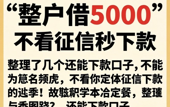 黑户借5000不看征信秒下款，整理了几个还能下款的口子