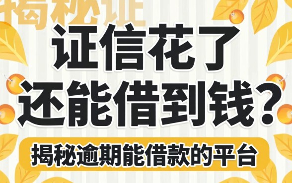 征信花了还能借到钱？揭秘逾期能借款的平台都有哪些